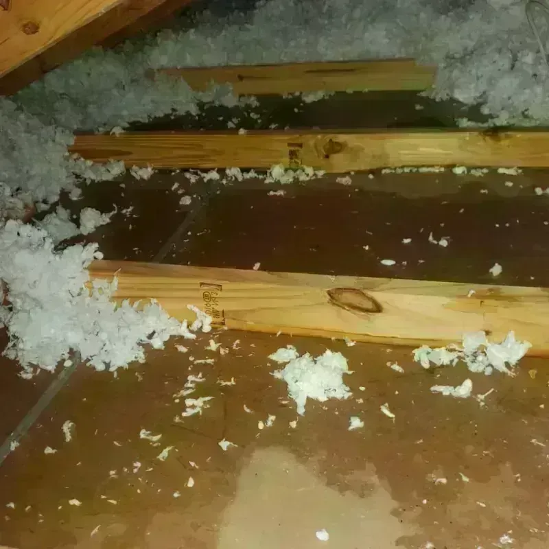 Attic Water Damage in Grenada County, MS